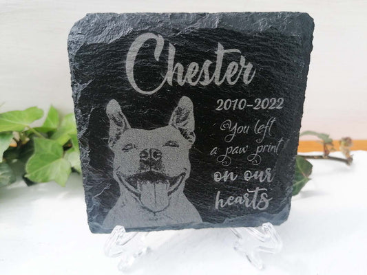 Dog Memorial Plaque Ireland