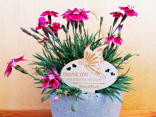 Plant marker Teacher Gift Ireland